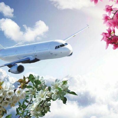 سقف کاذب آسمان مجازی _طرح هواپیما