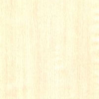 آذران پلاست رسا